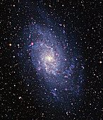 Pinwheel galaxy (M33)