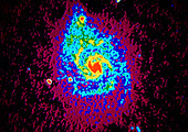 False-colour radio map of the Whirlpool Galaxy