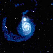 Whirlpool galaxy (M51)
