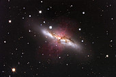 Cigar galaxy (M82)