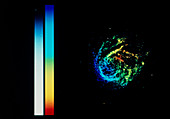 M101 galaxy: radio image showing velocity