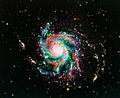 Optical photograph of M101,the Pinwheel Galaxy