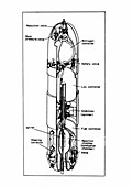 A-2 rocket diagram,1934