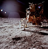 Apollo 11 photo of Astronaut Edwin Aldrin on moon