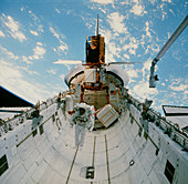 Astronaut van Hoften in Shuttle cargo bay,41-C