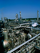 Industrial plant for treating acidic natural gas