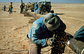Welding being carried out on a pipe in the desert
