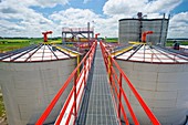 Corn ethanol processing plant