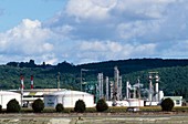 Bioethanol refinery
