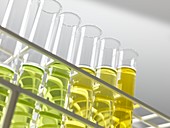 Biofuel research