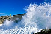 Limpet wave power station