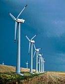 Nordfriesland windpark,North Germany