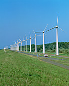 Wind farm next to road,Leylstad,Holland