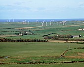 Wind turbines in fields,Anglesey