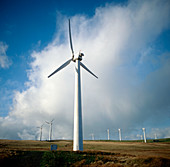 Wind turbine