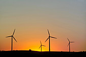 Wind turbines at dawn