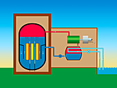 Boiling water nuclear reactor