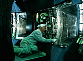 Fusion reactor maintenance