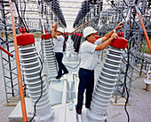 Workers maintaining electricity switching equipmnt