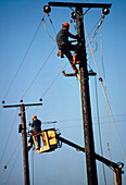 Engineers working on electricity power lines
