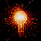 Abstract,sparking electric light bulb