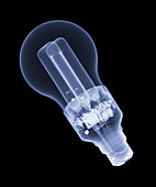 Energy-saving light bulb,X-ray