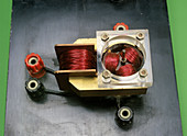 Electric motor coils