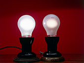 Electric light bulbs,different voltages