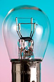 Twin filament light bulb
