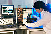 Raman microscopy and spectroscopy
