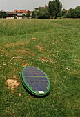 View of solar-powered robot lawnmower in action