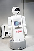 Domestic service robot,Japan