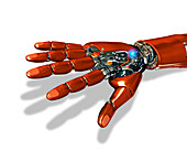 Robotic hand