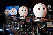 Weight loss robot,MIT,USA