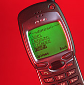 WAP mobile telephone