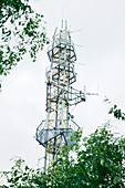 Mobile phone mast