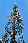 Wrekin transmitting station mast