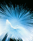 Spray of optical fibres conducting white light