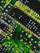 Close-up of the main circuit board of a computer