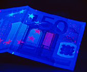 Banknote security