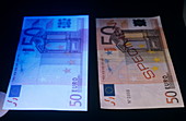 Banknote security