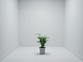 Office environment,conceptual image