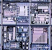 LM of surface of integrated circuit
