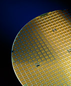 Silicon wafers with its chips