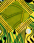 Computer art of a leaf in an integrated circuit