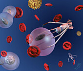 Medical nanorobots