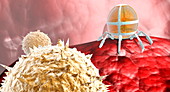 Nanorobot with blood cells