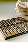 MEMS production,device sorting