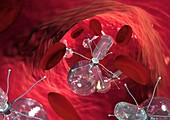 Nanorobots in a blood vessel,artwork