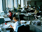 Workers using computers in an open plan office